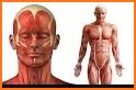 Human Body Anatomy Quiz related image