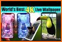 4D Live Wallpaper - 2021 New Best 4D Wallpapers related image