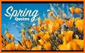 Spring Wishes and Greetings related image