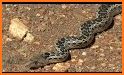 Mining Snake related image