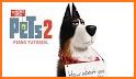 Life Of Pets 2 Max Keyboard Theme related image