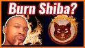 Shiba Truck-The Coin Burn Game related image