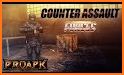 Project: Counter Assault Online related image