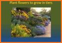 Grow Flowers & Bees related image