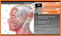 Gray's Anatomy Flash Cards related image