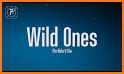 Wild Ones related image