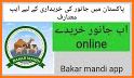 Bakar Mandi Online related image