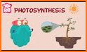 NGSS Biology - Study Cards, 6 of 7 related image