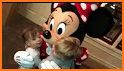 Minnie Adventure Mouse Run related image