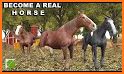 Horse Family Simulator 3D related image