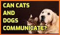 Cat&Dog Expert - Your Pet Communication Expert related image