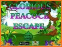 Decent Peacock Escape related image