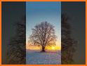 Winter Wallpaper Snowy Sunrise Theme related image