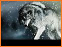 Wolf Wallpaper related image