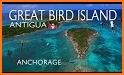 All Birds West Indies: Puerto Rico east to Antigua related image