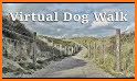 Doggy Walk related image