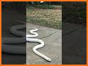 Trending Viral, Funny & Status Video for Snake related image