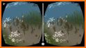 VR Ocean Aquarium 3D related image