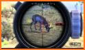 Deer Hunting Shooting Games related image