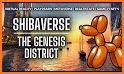 ShibaVerse related image