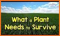 Plant and Survive related image