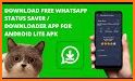 lite for Whtasapp Status Saver - Downloader related image