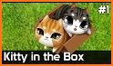 Kitty in the Box related image