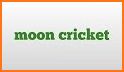 Cricket Moon related image