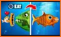 Feeding and Grow: Fish Feed Guide related image