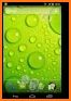 Waterdrops - Real Rain Live Wallpaper related image