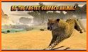 Cheetah Simulator related image