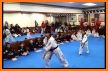 United Taekwondo Center Hazlet related image