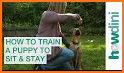 Dog Clicker - train dog related image