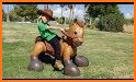 Pocket Horse and Pony Go! related image