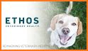 Ethos Veterinary Health related image