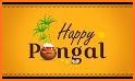 Tamil Pongal Images, Mattu Pongal Images related image