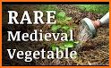 Medieval Farms (Ad Free) related image