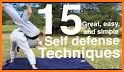 Learn Karate - Video Training Technical Classes related image