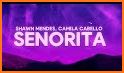 Shawn Mendes, Camila Cabello - Señorita related image