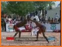 Niger TV en direct related image