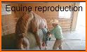 Equine Breeding Planner related image