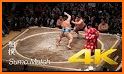 Sumo fight related image