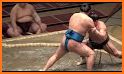 Sumo Techniques related image