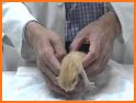 Kitties Newborn Caring related image