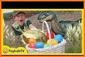 Dinosaurs Park Suprise Eggs related image