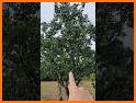 NATURE related image