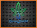CannaLink24 related image