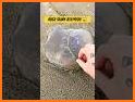 The Blob: Save the Jelly! related image