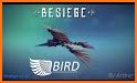 Bird Besiege related image