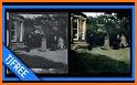 Colorize Memories - Restore old photos using AI related image